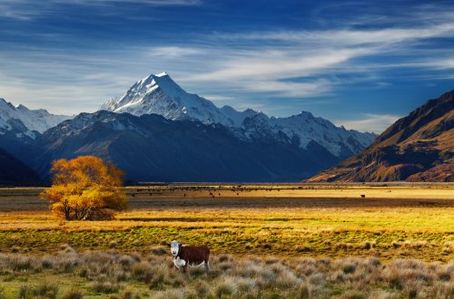 Nový Zéland - Středozem - Poznávací zájezdy