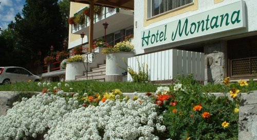 Hotel Montana - Pozza di Fassa