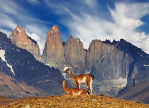 Patagonie, Ohňová země + luxusní plavba - Poznávací zájezdy