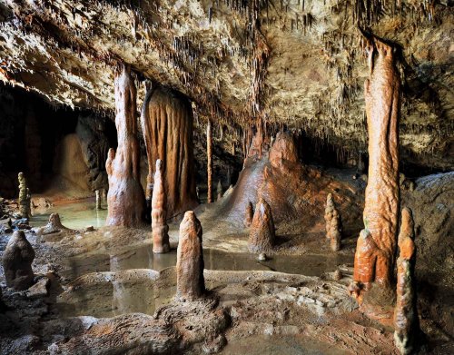 Slovinsko - mezi Alpami, Krasem a mořem, Portorož a mořský park Termaris