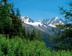 Švýcarské Alpy, italské Alpy a termální lázně Bormio