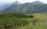 Tatry a NP Pieniny ze slovenské i polské strany, spišské památky