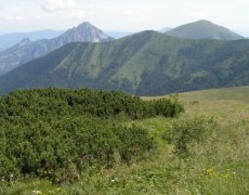 Tatry a NP Pieniny ze slovenské i polské strany, spišské památky