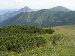 Tatry a NP Pieniny ze slovenské i polské strany, spišské památky