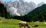 Srdce Dolomit III - Mt. Civetta, Pala di San Martino