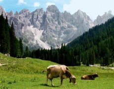 Srdce Dolomit III - Mt. Civetta, Pala di San Martino