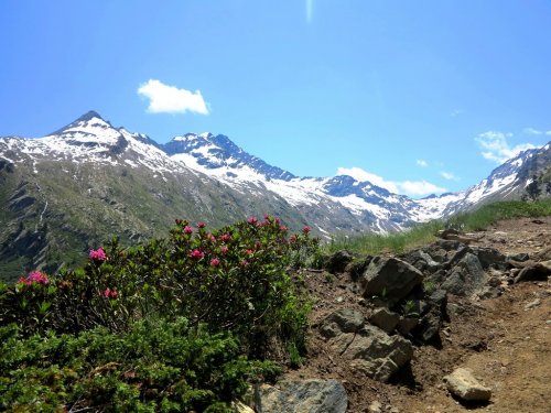 NP Gran Paradiso, údolí Aosty, Mont Blanc