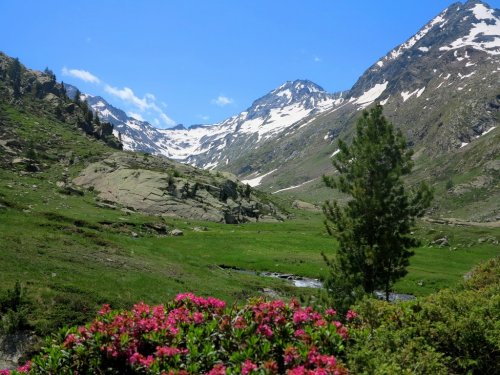NP Gran Paradiso, údolí Aosty, Mont Blanc