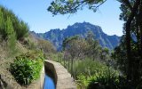Katalog zájezdů - Portugalsko, Madeira - exotický ráj na dosah, květinový ostrov věčného jara