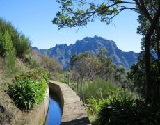 Madeira - exotický ráj na dosah, květinový ostrov věčného jara