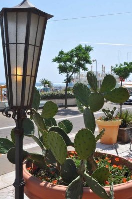 Hotel Giorgetti Palace - Bellaria