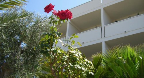 Hotel Pellegrino Palace - Vieste