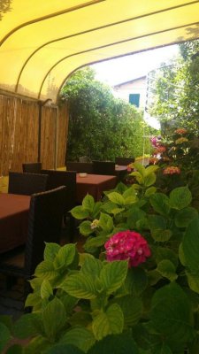 Hotel Illi - Marina di Massa