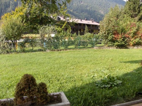 Rezidence Rododendro - Pinzolo