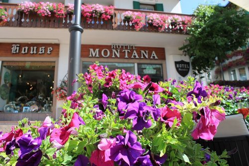 Hotel Montana - Cortina d' Ampezzo