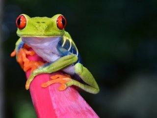 Nikaragua, Kostarika, Panama - Středoamerická mozaika - Kostarika, Nikaragua, Panama - Pobytové zájezdy