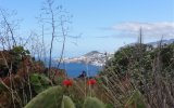 Poznávací zájezd Madeira květinová a turistická