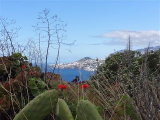 Poznávací zájezd Madeira květinová a turistická - Portugalsko, Madeira - Pobytové zájezdy