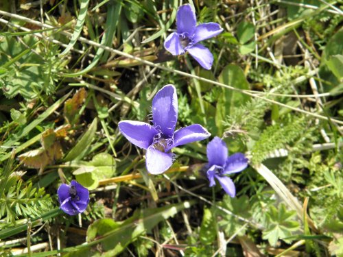 Paleta z Dolomit a jezero Lago di Garda