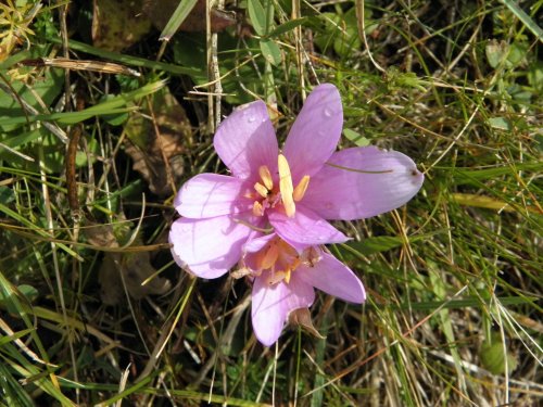 Paleta z Dolomit a jezero Lago di Garda