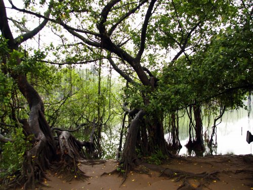 Přírodní krásy a památky Vietnamu