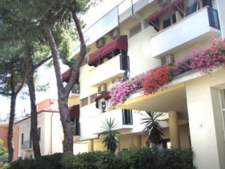 Hotel New Primula- Rimini Hotel New Primula- Rimini