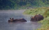 Nepál - V srdci Himaláje s lehkou turistikou, památkami a safari v NP Chitwan