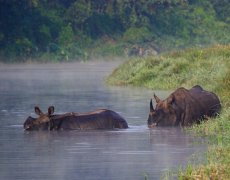 Nepál - V srdci Himaláje s lehkou turistikou, památkami a safari v NP Chitwan