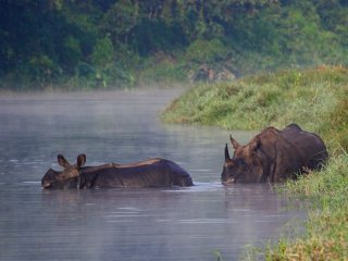 Nepál - V srdci Himaláje s lehkou turistikou, památkami a safari v NP Chitwan