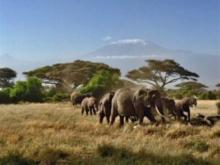 Keňa, Tanzánie - Pohodový týden pod nejvyšší horou Afriky – Kilimanjaro - Keňa, Tanzánie - Pobytové zájezdy
