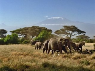 Keňa, Tanzánie - Pohodový týden pod nejvyšší horou Afriky – Kilimanjaro