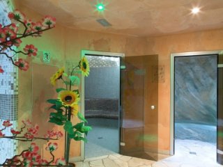 Hotel Alpine Mugon