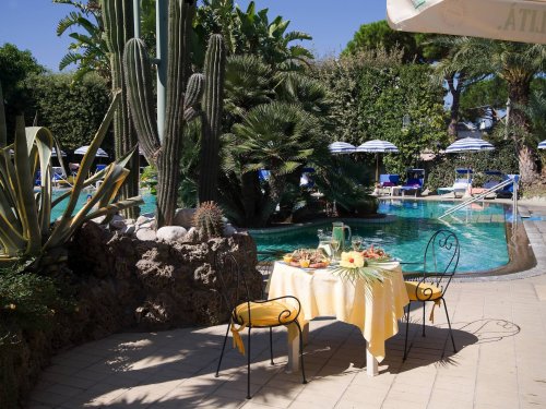 Park Hotel Terme Mediterraneo - Forio