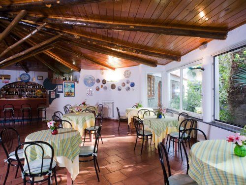 Park Hotel Terme Mediterraneo - Forio