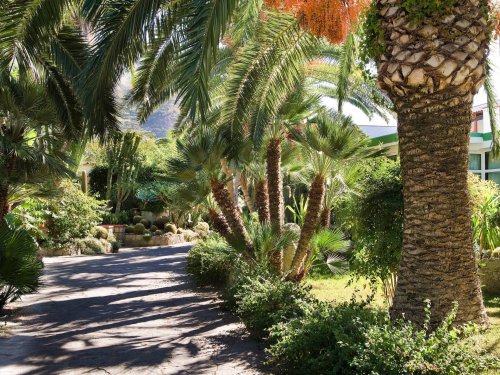 Park Hotel Terme Mediterraneo - Forio