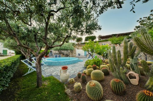 Hotel Villa Miralisa - Forio-Panza