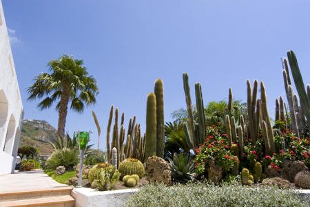 Hotel Villa Miralisa - Forio-Panza