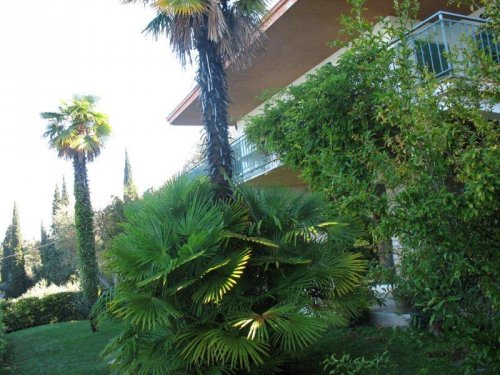 Villa Patrizia - Torri del Benaco