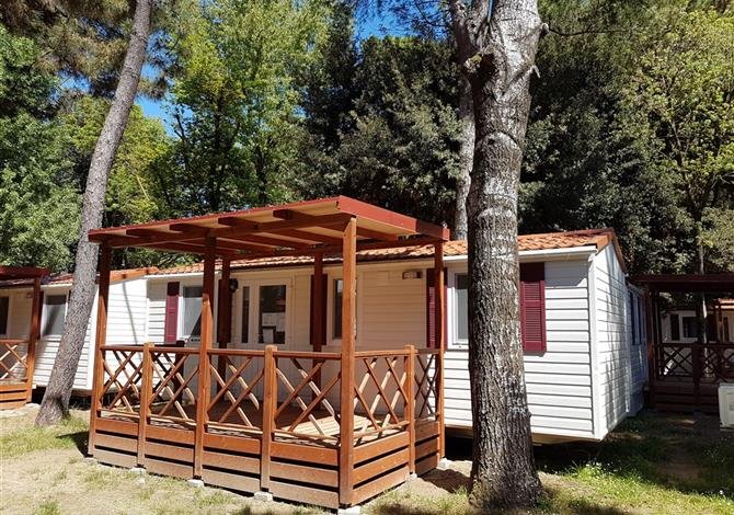 Mare e Pineta International Camping