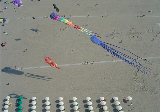 Mare e Pineta International Camping