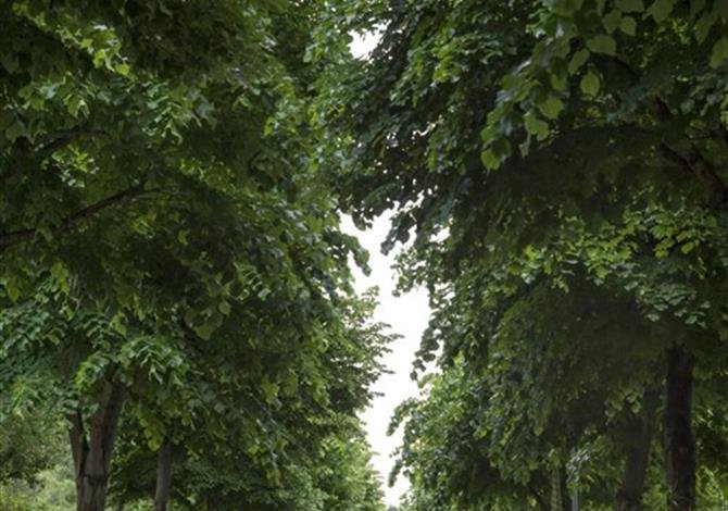 Centro Vacanze San Francesco