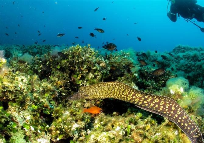 Camping Ville degli Ulivi