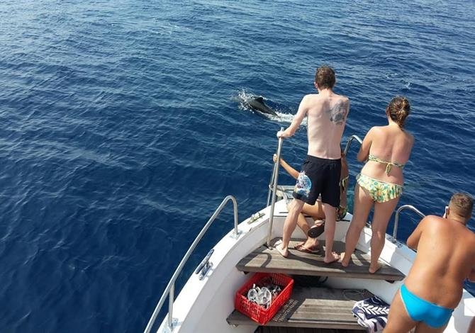 Camping Ville degli Ulivi