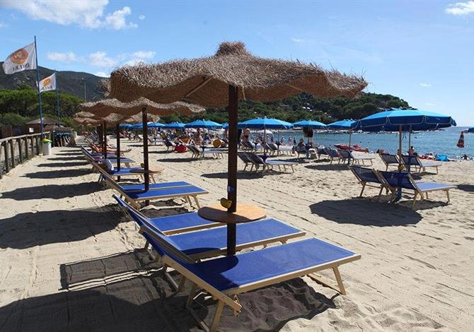 Camping Ville degli Ulivi