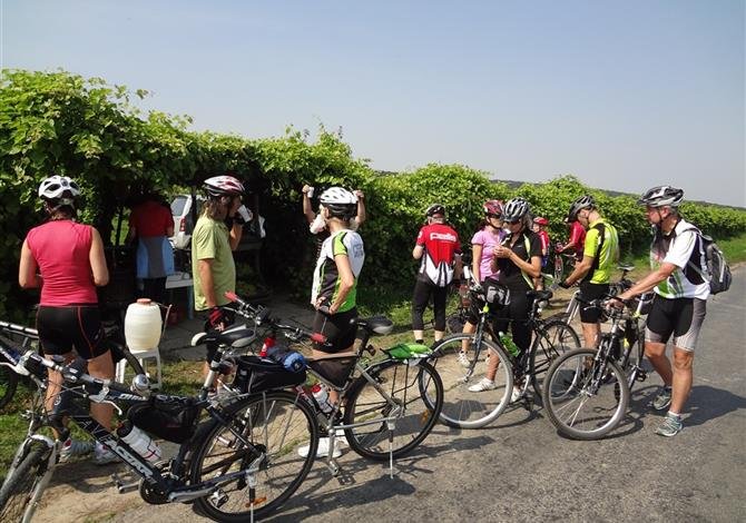 Neziderské jezero, perla Burgenlandu