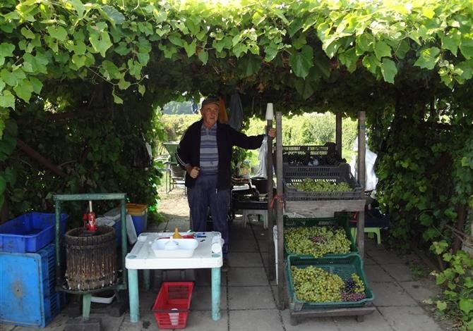 Neziderské jezero, perla Burgenlandu