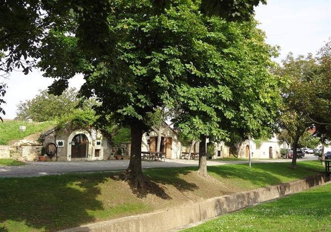 Neziderské jezero, perla Burgenlandu