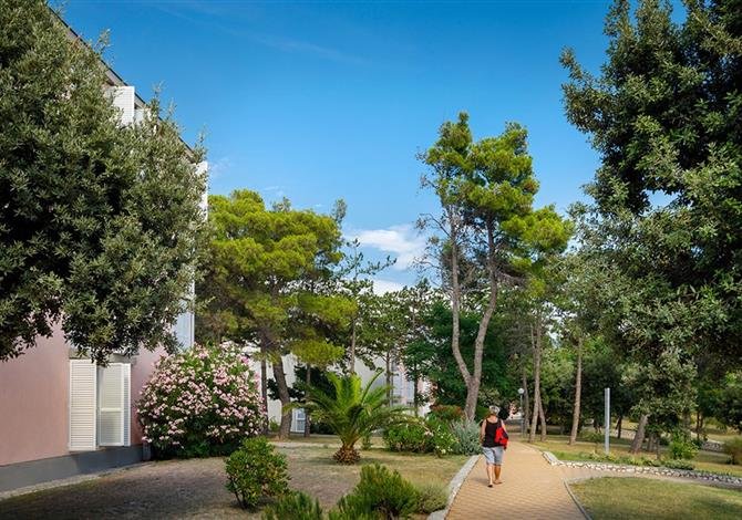 Lopar Family Sunny hotel