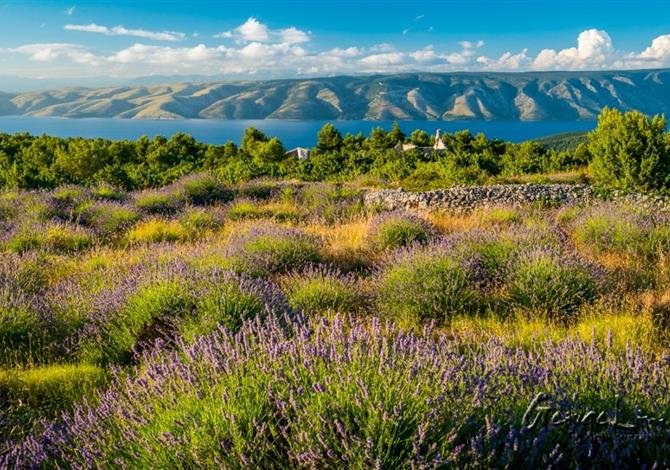 All Inclusive hotel Hvar