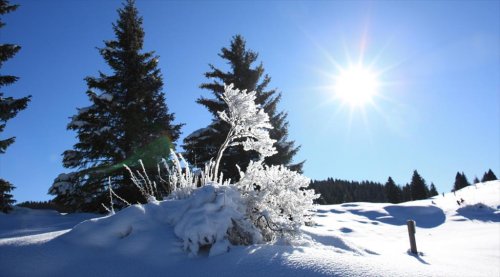 Hotel San Valier - Cavalese